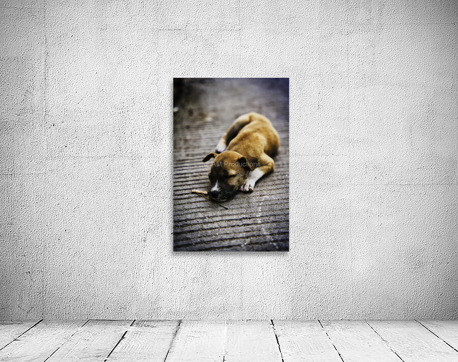 Resting Innocence – Cebu Philippines Wall Preview