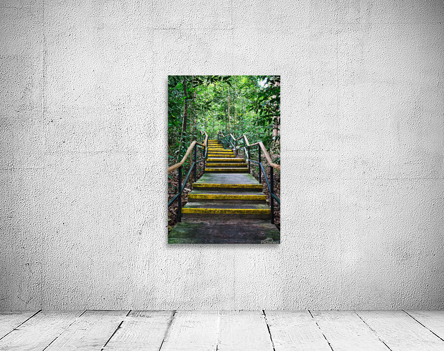 Path Through the Green Singapore Wall Preview