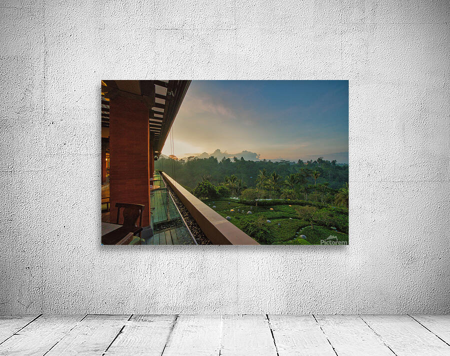 Padma Breakfast View Wall Preview