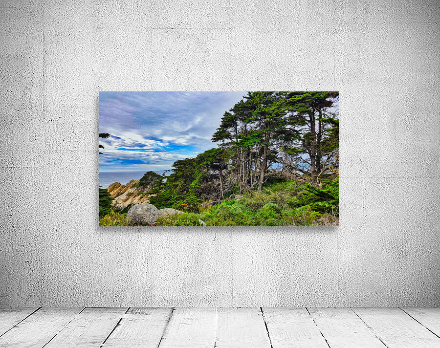 Big Sur Forest View Wall Preview