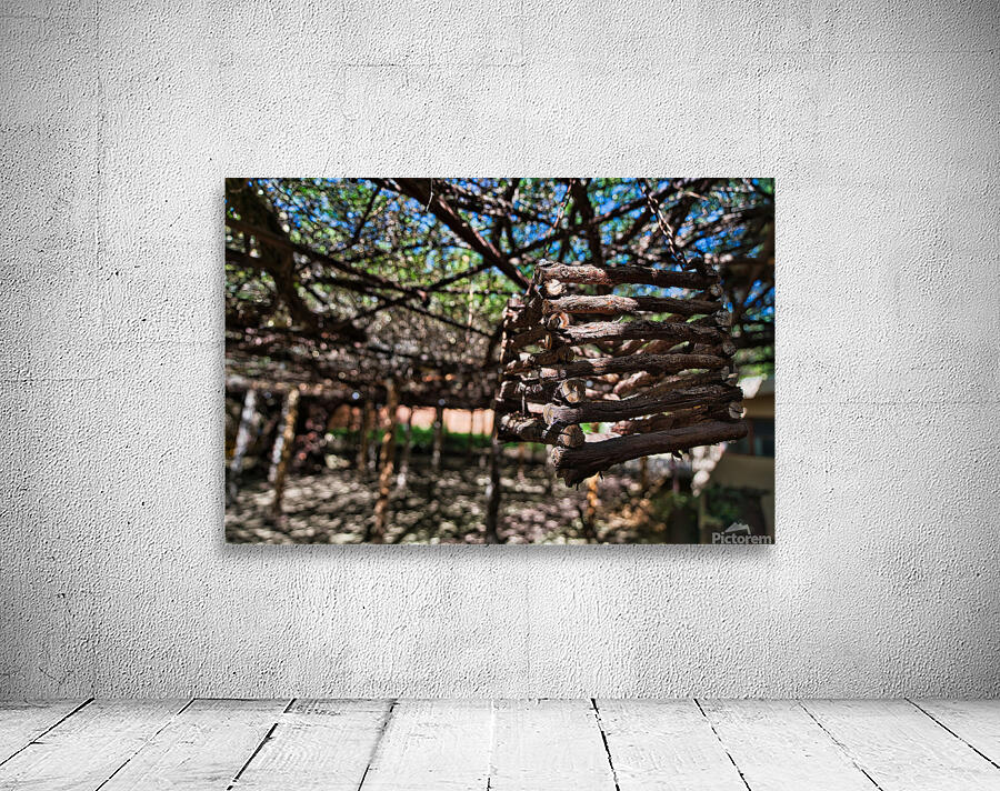 Hanging Timber – Desert Arbor Wall Preview