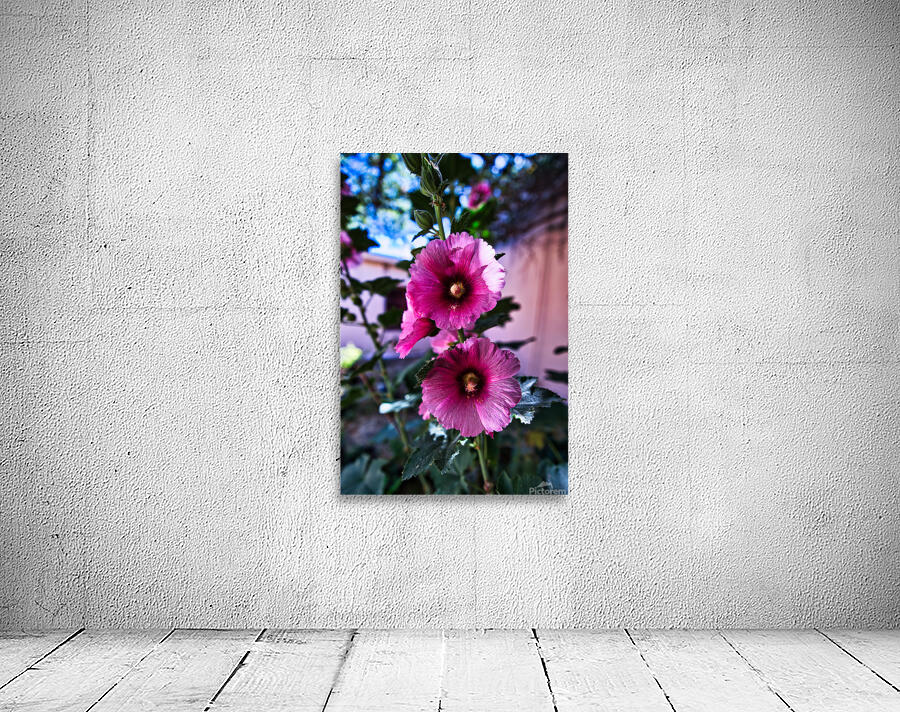 Wild Bloom in Tombstone Wall Preview