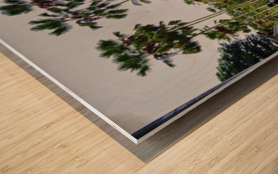 Touch of Trust Wood print