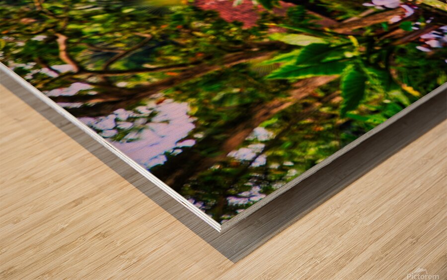 Tranquil Fountain — Bali Gardens Wood print