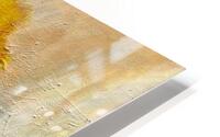 Revelation  HD Metal print