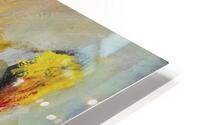ColorBurst HD Metal print
