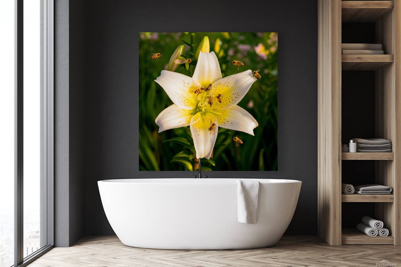 Lily Flower Reproduction