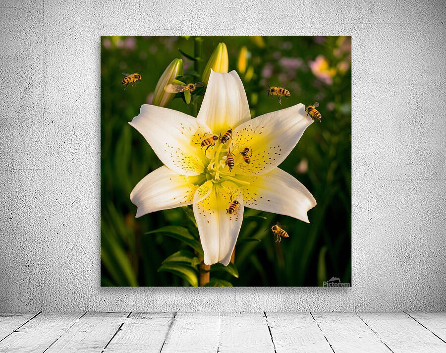 Lily Flower Wall Preview