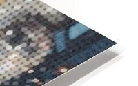 Lego McCartney  HD Metal print