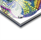 Eye View Acrylic print
