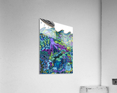 Searching for Jonah Acrylic Print