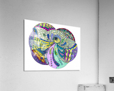 Eye View Acrylic Print