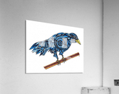 Blue Crow Acrylic Print