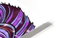 Purple Goat HD Metal print
