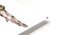 Gnome on a Swing HD Metal print