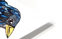 Blue Crow HD Metal print
