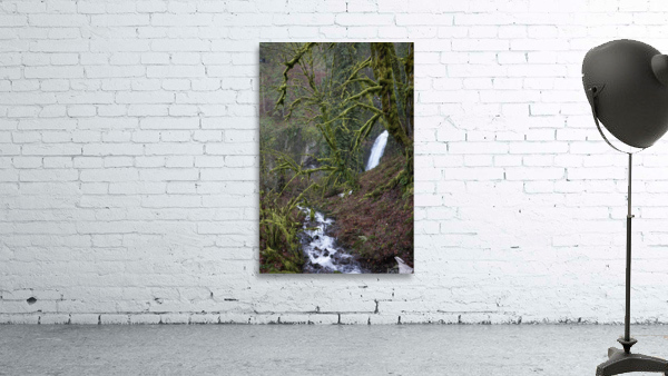 Multnomah Falls Greenery Wall Preview