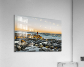  Le Pecheur Acrylic Print
