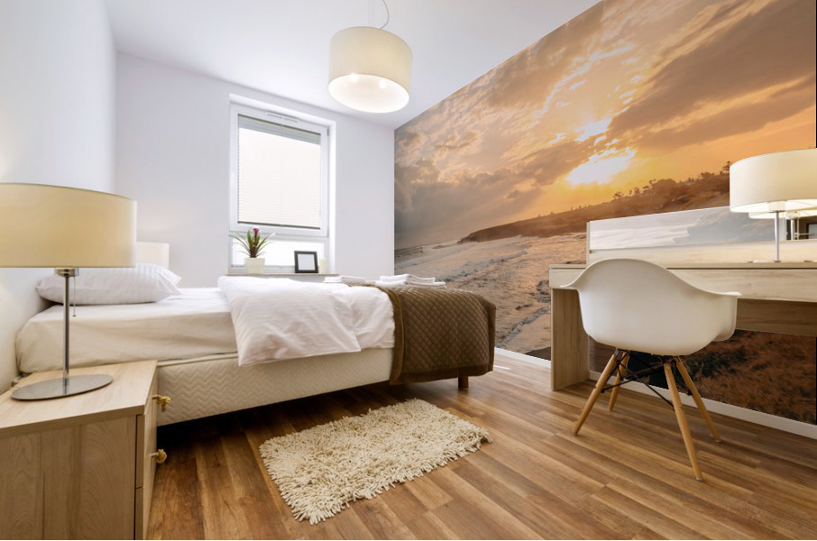 Pointe du Diable Mural print