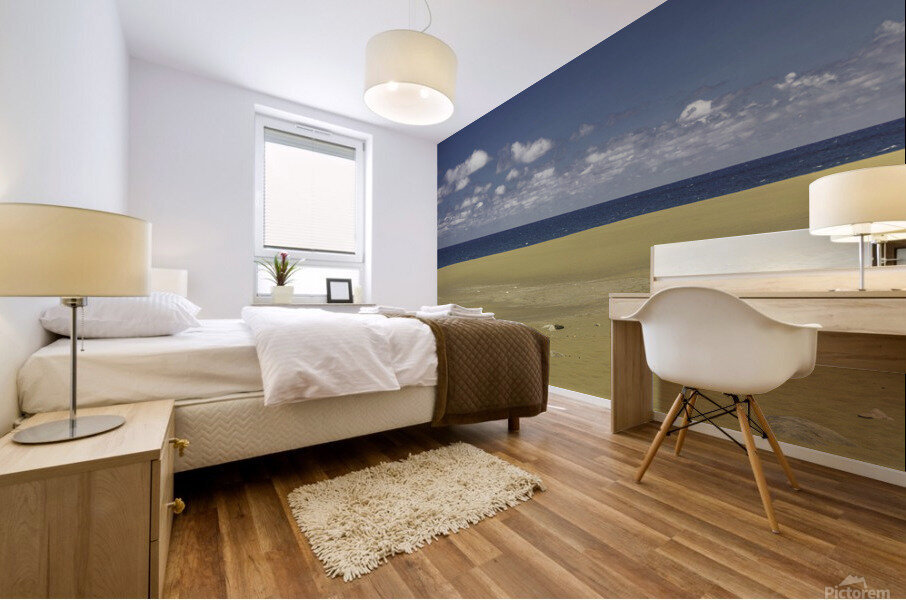 Desert sur locean Mural print