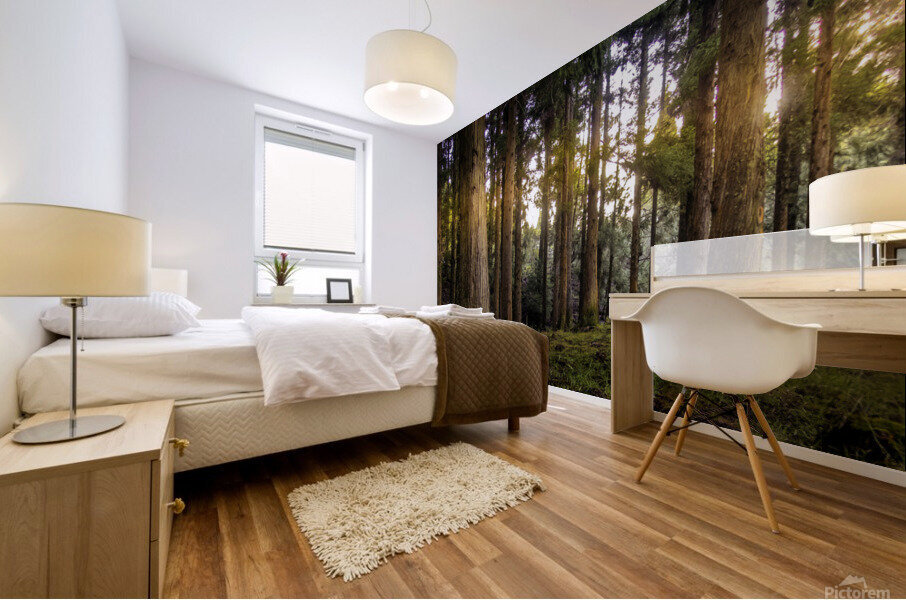 Forest Mural print