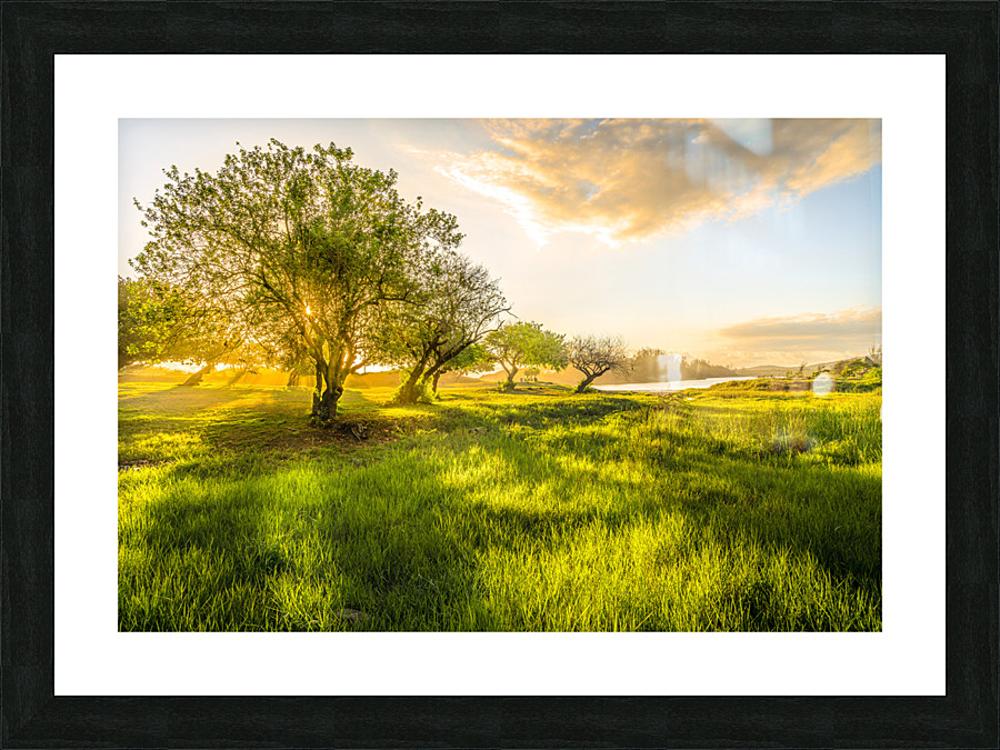 Le Gol Picture Frame print