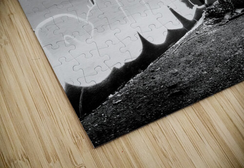 Angle de vue Jean Guy Nakars puzzle