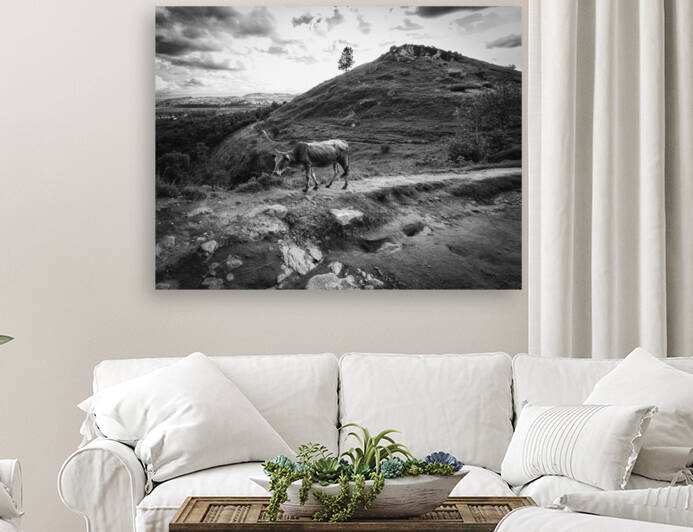 Sur les chemins de Mada by Jean Guy Nakars