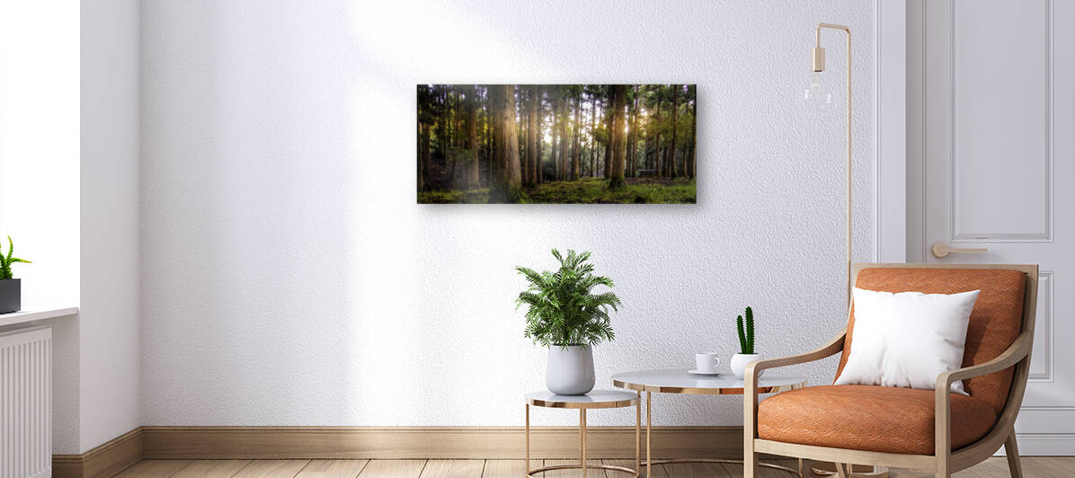 Forest Reproduction