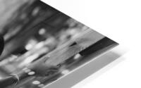 Comme des grandes HD Metal print