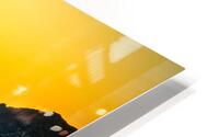 Maido  HD Metal print