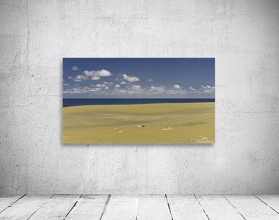 Desert sur locean Wall Preview