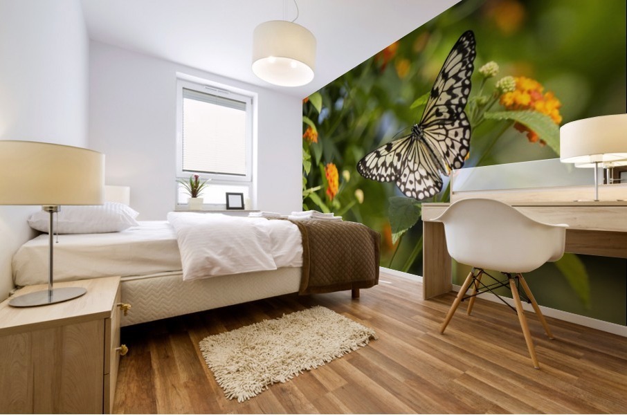 RicePaper Butterfly Mural print