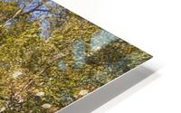 Autumn HD Metal print