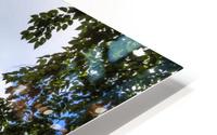BlueTower HD Metal print