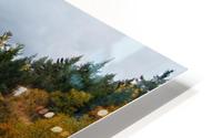 Automne HD Metal print