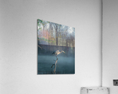 Early Bird  Acrylic Print