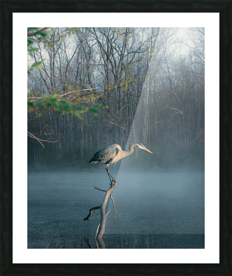 Early Bird  Picture Frame Printing
