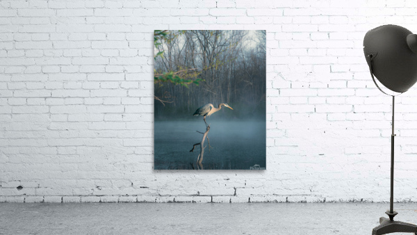 Early Bird  Wall Preview