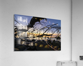 Tangled Acrylic Print