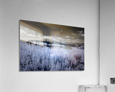 McKellar Bridge IR Acrylic Print
