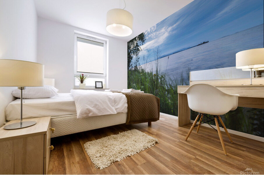 Blue Morning Mural print