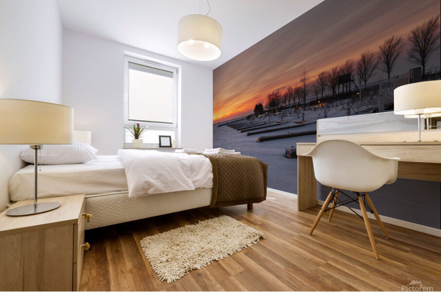 Frozen Slips Mural print