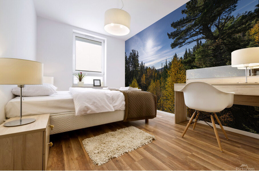 Fall Scene Mural print