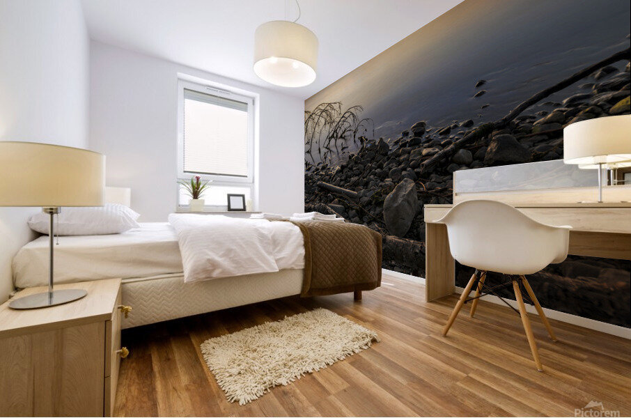 At Dawn Mural print