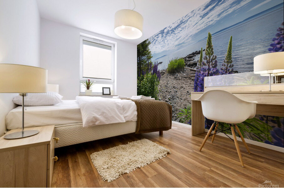 Shoreline Mural print