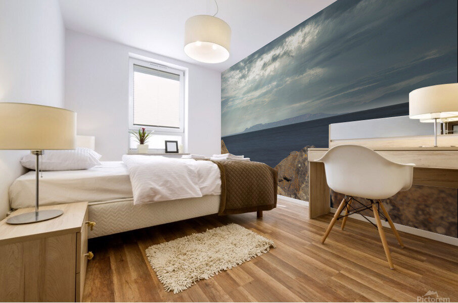 Rocky Rays Mural print