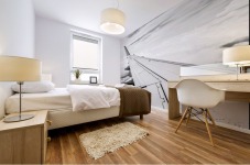 Airplane Wing Mural print