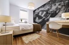 Ferrari Mural print