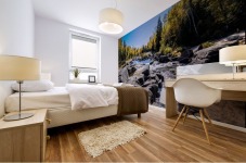 River Bed Mural print